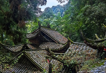 青城山第 233 张图片