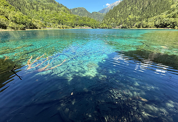 九寨沟风景区第 341 张图片