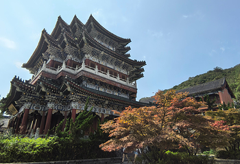 天门山国家森林公园第 402 张图片