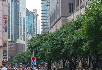 解放碑步行街第 107 张图片