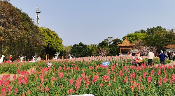 雀山公园四季花海