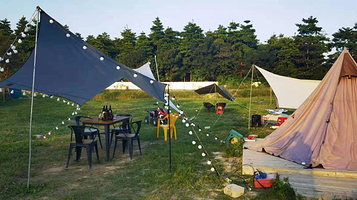 宇宙奥秘生态农场