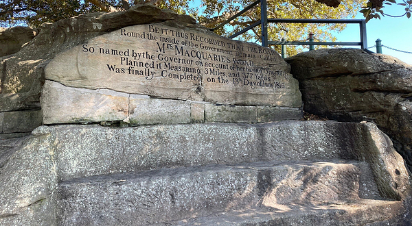 麦考利夫人座椅