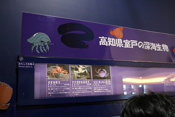茨城县大洗水族馆第 27 张图片