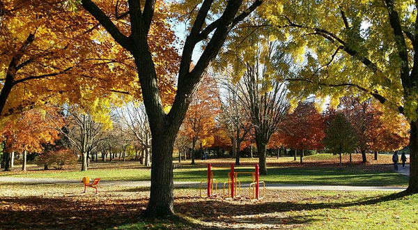 汤姆森纪念公园