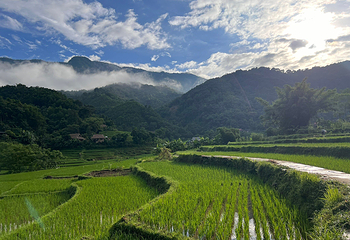 Pu Luong Nature Reserve第 7 张图片
