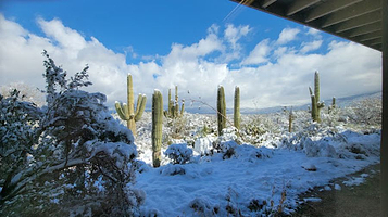 Saguaro National Park Sign