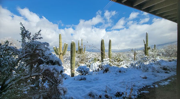 Saguaro National Park Sign