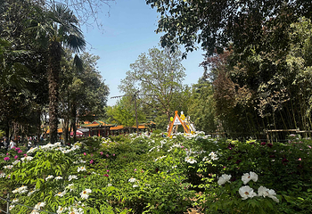 天波杨府第 66 张图片