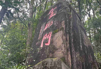 歌乐山国家森林公园第 43 张图片