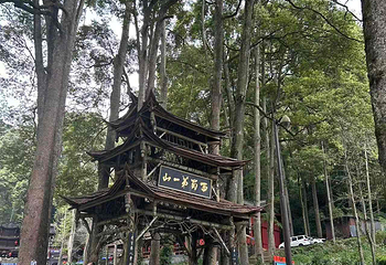 青城山第 278 张图片