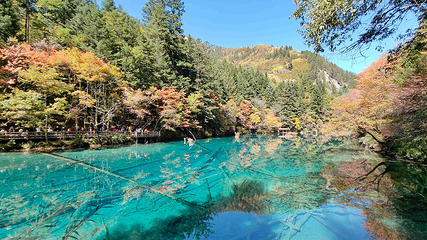 九寨沟风景区第 220 张图片