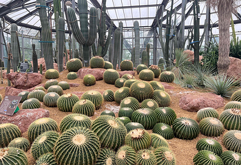 中国科学院华南国家植物园第 31 张图片