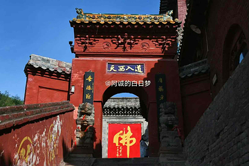 小西天第 25 张图片