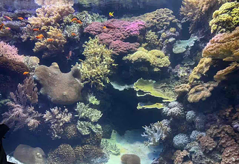 海洋世界海之中道第 40 张图片