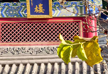 广仁寺第 60 张图片