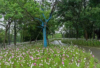 东滩湿地公园第 84 张图片