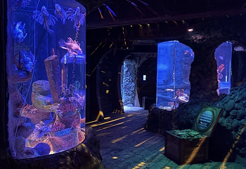 悉尼水族馆第 53 张图片