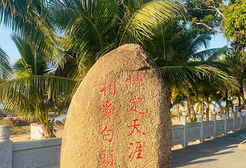 天涯海角第 267 张图片