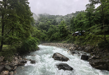 二郎山喇叭河风景区第 155 张图片
