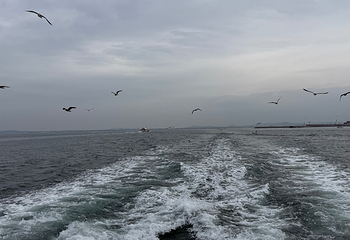 那香海鸡鸣岛第 54 张图片