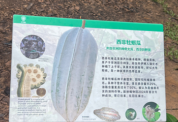 中国科学院西双版纳热带植物园第 164 张图片