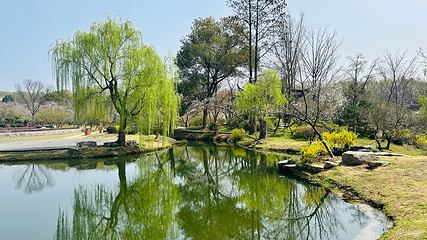 钟山风景名胜区第 110 张图片