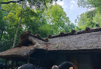 杜甫草堂第 437 张图片