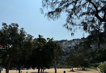 浅水湾第 99 张图片