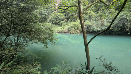 张家界大峡谷第 88 张图片