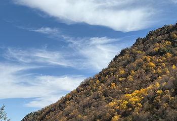 祁连山冰沟河景区第 123 张图片