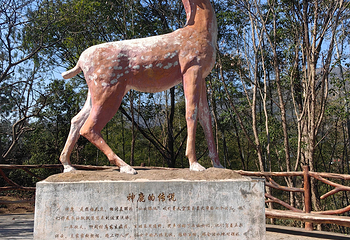 仙岛湖旅游度假区第 15 张图片