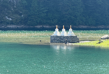 达古冰川风景名胜区第 186 张图片