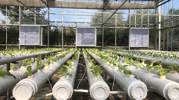 北川维斯特农业休闲旅游区