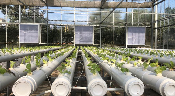 北川维斯特农业休闲旅游区