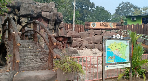 马六甲鳄鱼娱乐公园