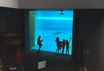 热那亚水族馆第 18 张图片