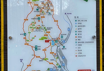 长泰山自然休养林第 18 张图片