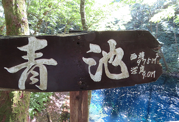 青池第 13 张图片