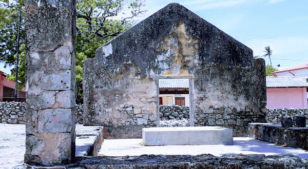 The Baobab tree - Delft