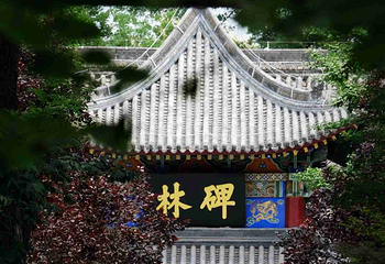 西安碑林博物馆第 164 张图片