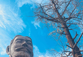 秦始皇帝陵博物院(兵马俑)第 241 张图片