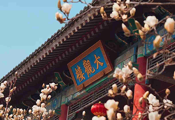北京大观园第 40 张图片