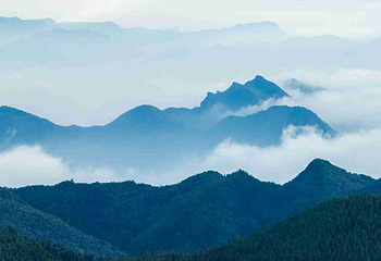 武陵山国家森林公园第 55 张图片