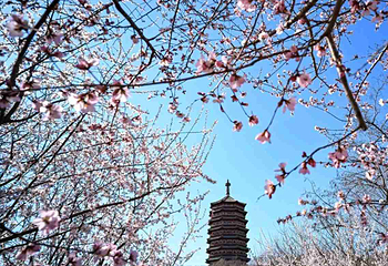 北京园博园第 34 张图片