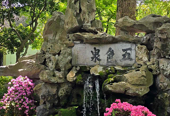 醉白池第 30 张图片