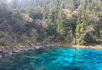 九寨沟风景区第 332 张图片
