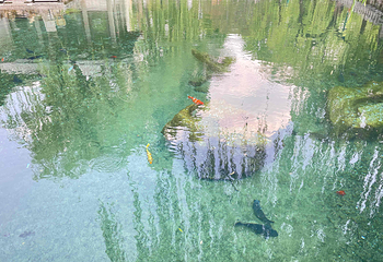 趵突泉景区第 279 张图片