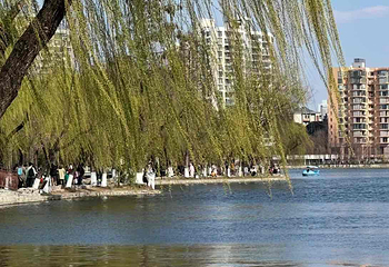 莫愁湖公园第 32 张图片