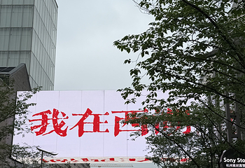 西湖观光游览车第 10 张图片